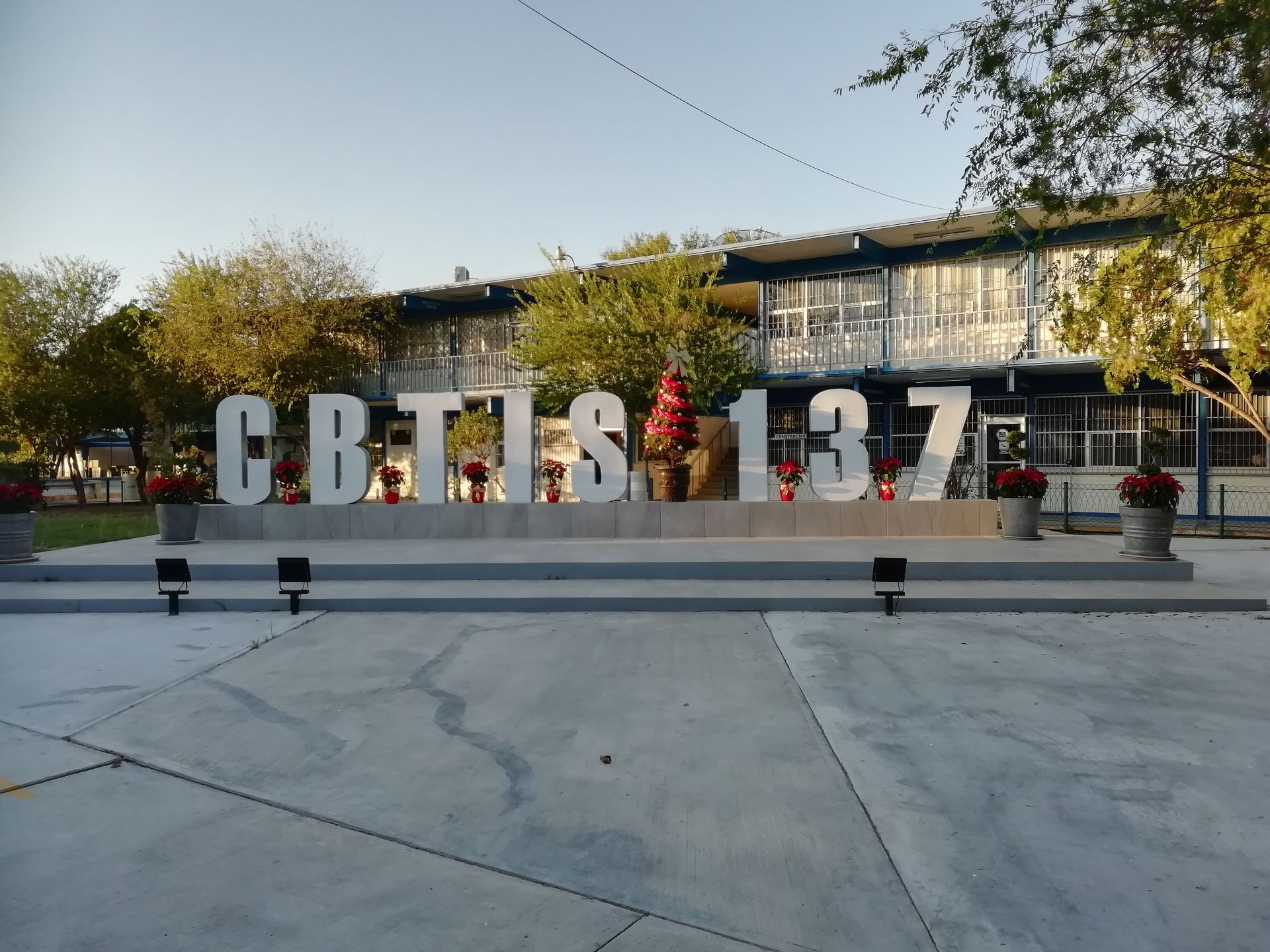 autor-id-2-menu-id-8-nombre-misi-u00f3n-del-cbtis-137